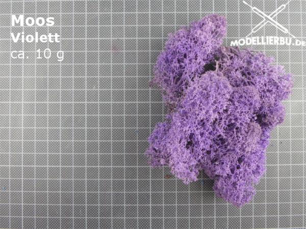 Moos - Violett 10 g